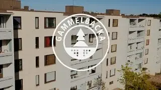 Gammelbacka