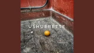 Ushuerette
