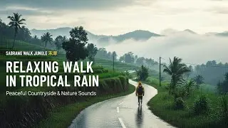No Talking ASMR &ndash; Walking Alone in Heavy Jungle Rain #NoTalkingASMR #RainyJungle #CalmingNature