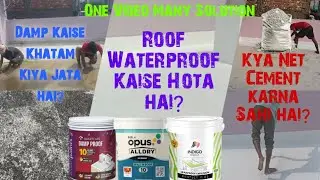 Damp Proof kaise Hota Hai?|Roof Waterproofing |Wall N Roof 10| Leakproof Emulsion #viralvideo #video