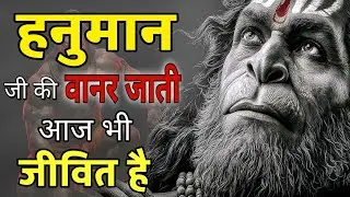 हनुमान जी की वानर प्रजाति कहां छुपी है, जिसे दुनिया देख नहीं सकती || The Hidden Clan of Hanuman ||