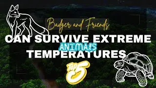 Top 5 Animals That Can Survive Extreme Temperatures
