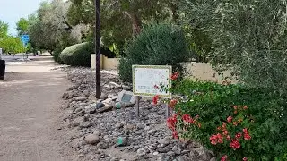 Experience North Central Phoenix Corridor: A Lifestyle That Soars Above the Rest!