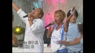 【TVPP】COOL - Sad Cafe + Truth, 쿨 - 새드 카페 + 진실 @ Comeback Stage, Music Camp Live