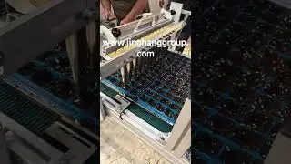 🌱 Nursery Tray Seeding Machine &ndash; Efficient, Precise, and Labor-Saving!