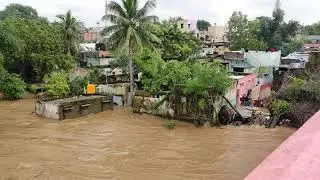 penna bridge nellore water floor ⛈️ 😱