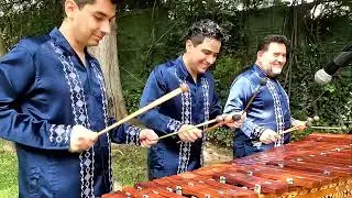 Tierra Pa' las Macetas [Abel Domínguez] - Mario Nandayapa Quartet [Marimba Chiapaneca]