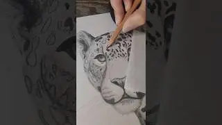 🌟Epic Leopard Drawing🌟 Part 1 (It looks real!!!)😲 #artist #realisticdrawing