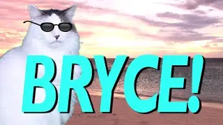 HAPPY BIRTHDAY BRYCE! - EPIC CAT Happy Birthday Song