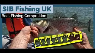 SIB Fishing UK Bass Fishing Competition Suffolk Stour Estuary