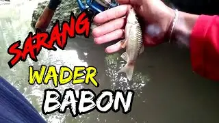 Mancing tepat disarang ikan || wader babon || asal mancing bali