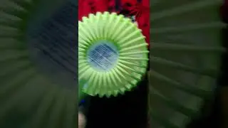 Lash Beauty India, Kolkata Eyelash Home service