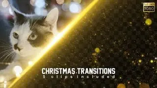 Christmas Transitions (Best After Effects Projects)