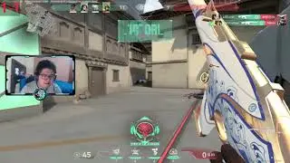 Casi Ace