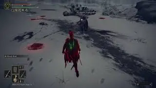 ELDEN RING&trade;lvl1 Hoslow fight