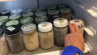 How to freeze cooked beans and grains