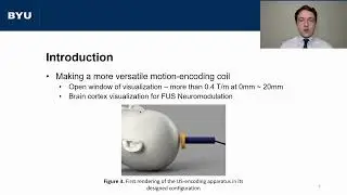 Davi Cavinatto: Toward Visualization of Ultrasound Waves during Neuromodulation