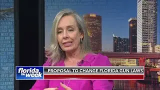 Proposal to Change Florida Gun Laws | Florida This Week