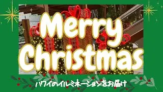 Merry Christmas!ハワイのイルミネーションをお届け