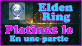 [Guide] Platiner le jeu en une seule partie