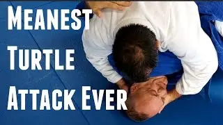 Meanest Turtle Attack Series