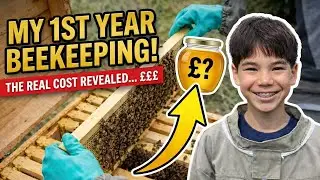 My First Year of Beekeeping!