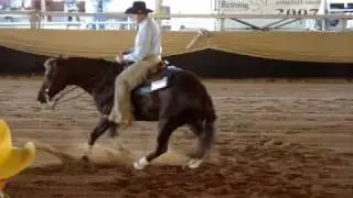 Megabyte 2007 Open Derby Reining
