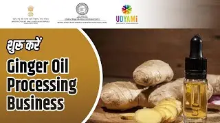 Ginger Oil Processing Business | Ginger Oil Business | Ginger Oil Making Process | Udyami