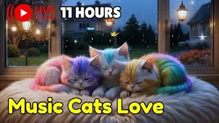 Calming Music for Cats With Anxiety 🎵 Soothing Sounds For Deep Sleep, Healing Insomnia, Relaxing #11