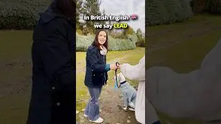 Dog vocabulary UK🇬🇧 vs US🇺🇸