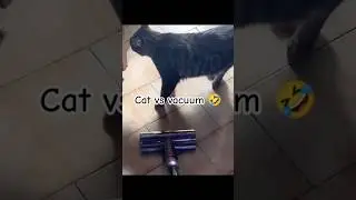 my cat reaction when I turn on vacuum 🤣