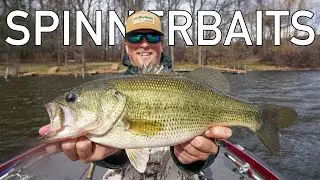 EARLY Spring Spinnerbait Fishing Tips - SpinnerBait Bass Fishing 2022