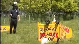 Ken White-Dog and Duck Show