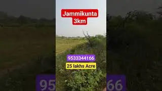 4 Acre sale#agriculture#landforsale#jammikunta#karimnagar dist@25 lakhs acre #9533344166