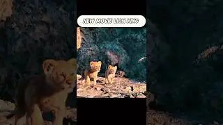 mufasa movie lion King