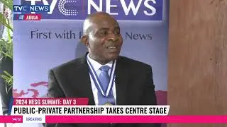 Nigeria's Economic Growth: NESG Seeks Enabling Environment For Private-Sector Players