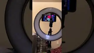 22 years of Trish Stratus vs Torrie Wilson in a arm wrestling match