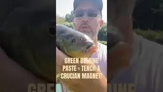 Зелёная бетаиновая паста = магнит для линей и карасей! #fishingshorts