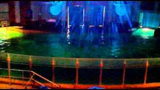 Tampere Dolphin Show