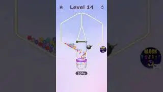 Pin Puzzle Level 14