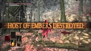 Dark Souls 3 DarkWraith cosplay online pvp fun