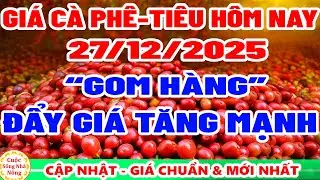 Giá cà phê hôm nay ngày 27/12/2025 | gom hàng ĐẨY GIÁ TĂNG MẠNH - giá tiêu hôm nay