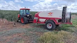 Sulfatando olivos con el kubota 8540 narrow, Mañez y Lozano de 4000 litros