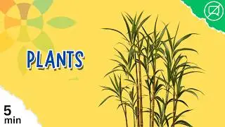 See 10 Incredible Plants Thriving in Different Habitats