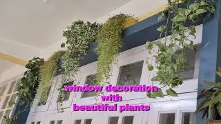 Window decoration with #perenial plants. 