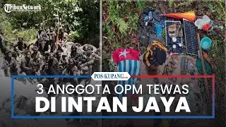 Tiga Anggota OPM Tewas Ditembak Aparat Keamanan di Intan Jaya