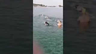 Openwater Training with Kyriazopoulos Team