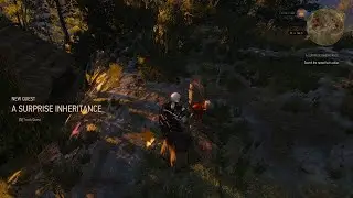The Witcher 3: A surprise inheritance treasure hunt