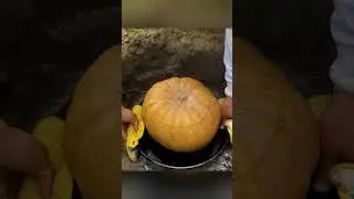 Aromatic pumpkin plov cooked on the grill &ndash; pure culinary magic!