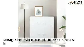 Storage Chest White Steel plastic 29.5X15.7X31.5 in